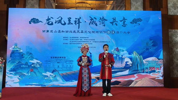 推介活動現場。主辦方供圖