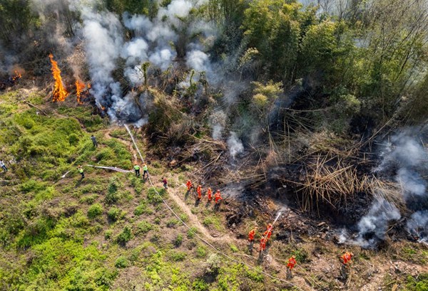 永川區2025年森林火災應急演練現場。國網永川供電公司供圖