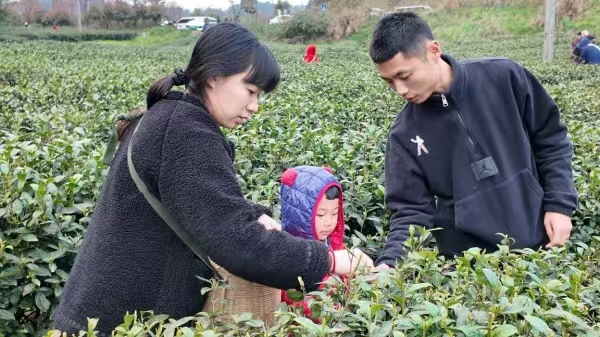 采茶體驗。武隆區委宣傳部供圖