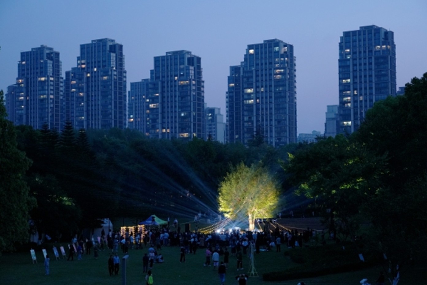 中央公園草坪被星光與燈光點亮。渝北區文化旅游委供圖