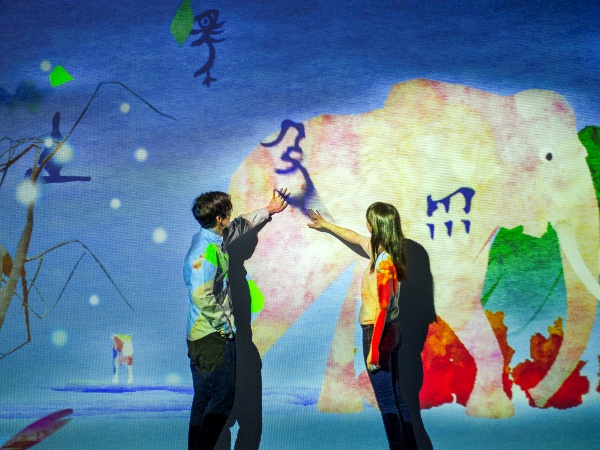 展出場景。主辦方供圖