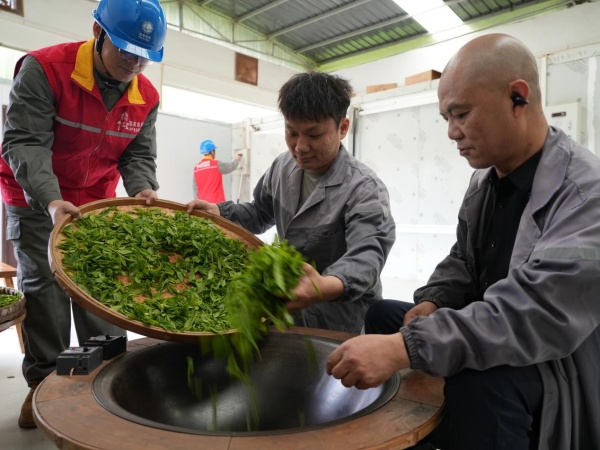 茶廠內，綦山茶茗非遺傳承人屈波帶著徒弟在電鍋里炒制新茶。袁巧攝