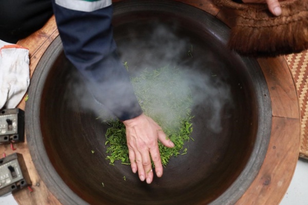 屈波在用電鐵鍋里炒制新茶。袁巧攝