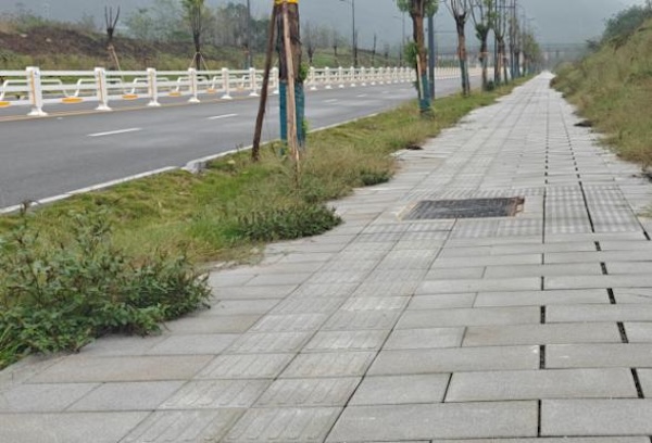 重慶高新區濱河路南段透水鋪裝。重慶市住房城鄉建委供圖