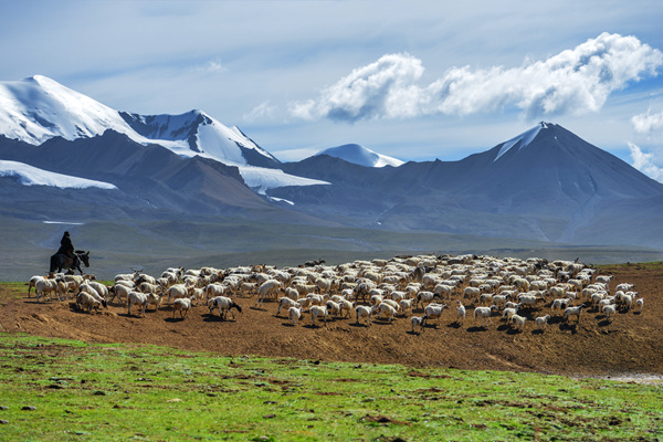 青?，斍叩拿利愶L光。才讓當周攝