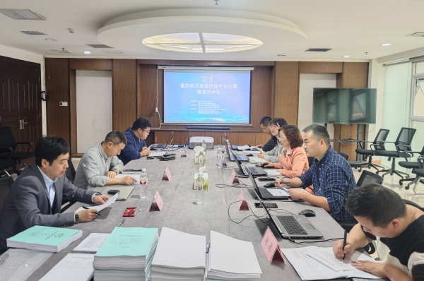 專家評審現場。主辦方供圖