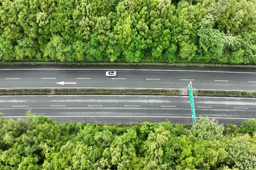 汽車在公路上疾馳。胡程攝