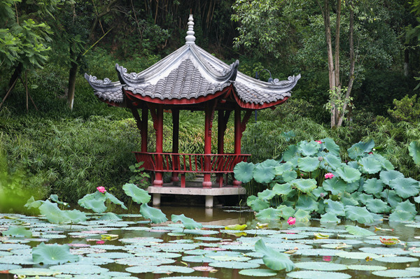 荷香亭韻，校園里的生態雅境。重慶理工大學供圖