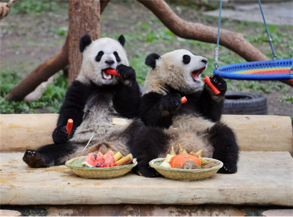 渝可渝愛合照。張秀峰攝