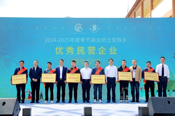 為優秀民營企業頒獎。主辦方供圖