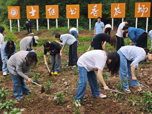 理學院師生在農場勞作。重慶理工大學供圖