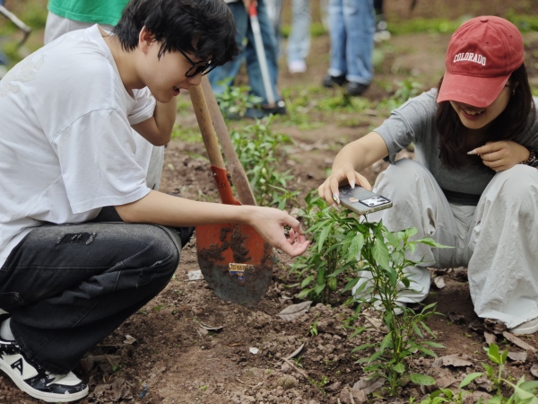 理學院學生利用手機軟件測量種苗高度。重慶理工大學供圖
