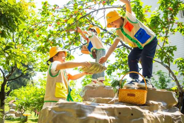 孩子們身著校服體驗采摘樂趣。受訪單位供圖