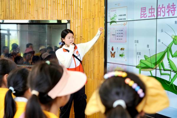 講解員為小朋友科普昆蟲知識。璧山區委宣傳部供圖