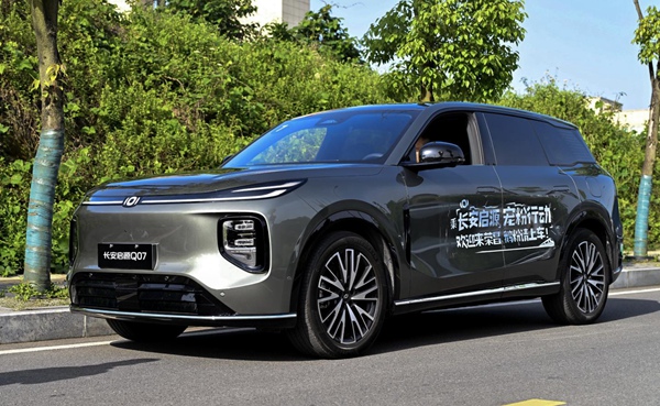 Q07組成的“寵粉車隊”。受訪單位供圖