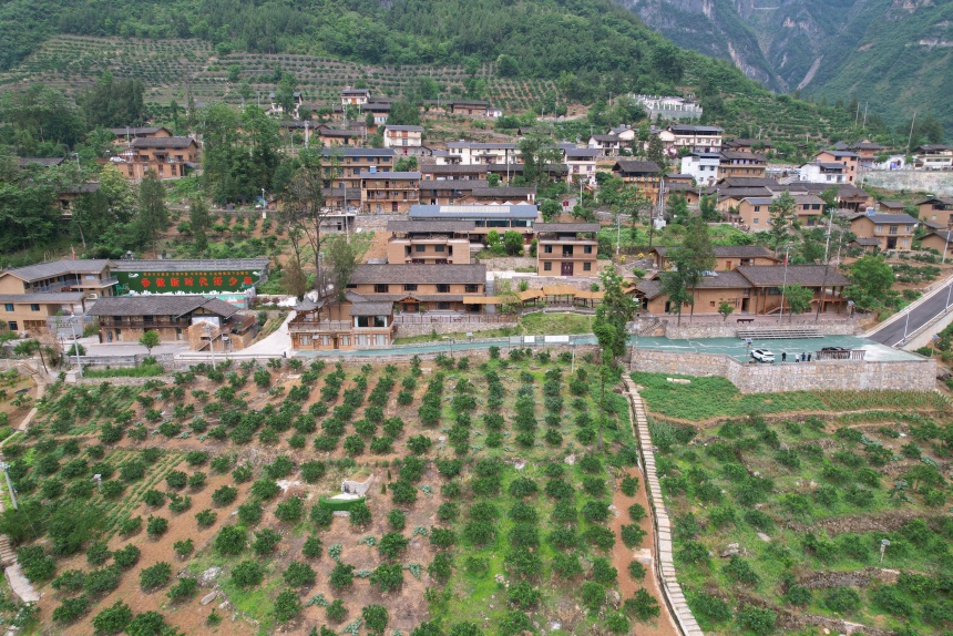 下莊村夏日景色。鄒樂攝