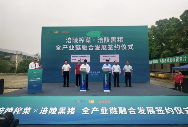 “涪陵榨菜X涪陵黑豬”全產業鏈融合發展簽約。蔣海濤攝