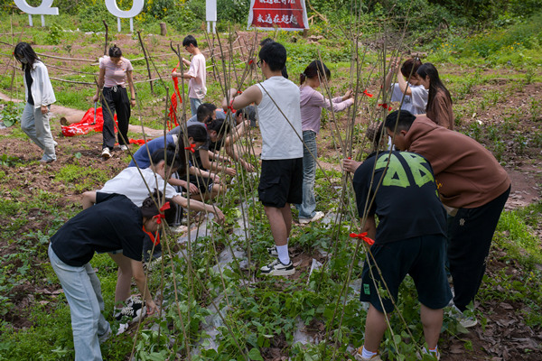 學生在校園農場搭建農作物架子。重慶理工大學供圖