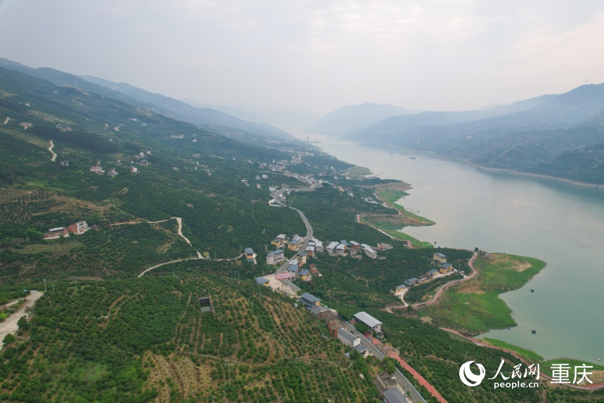 位于長江上游南岸的三沱村。人民網記者 劉政寧攝