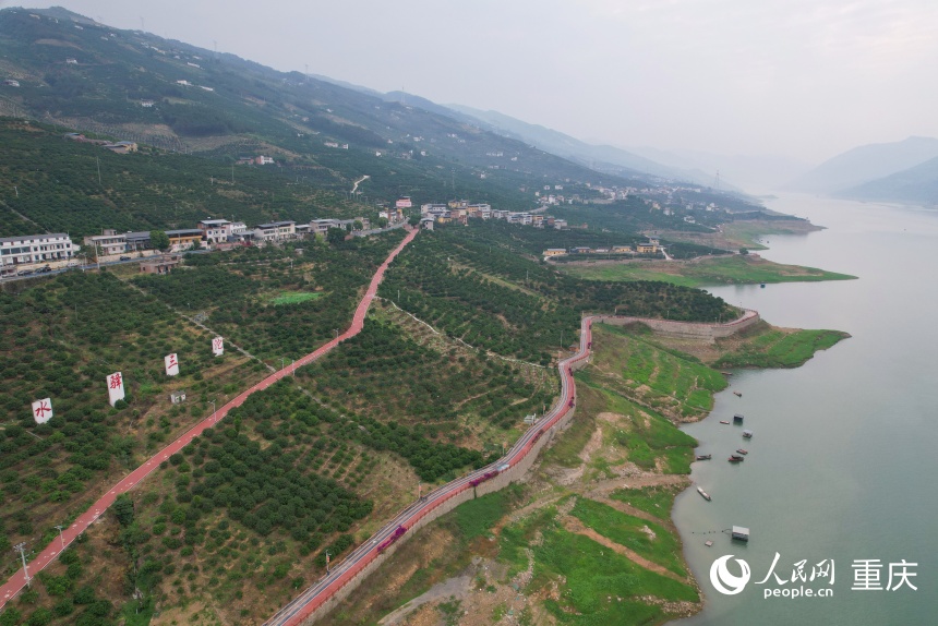 三沱村依托一顆顆臍橙樹實現了超億元產值。人民網記者 劉政寧攝