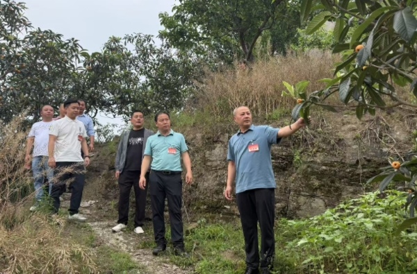 調研組一行來到土地垴村實地調研。劉欣攝