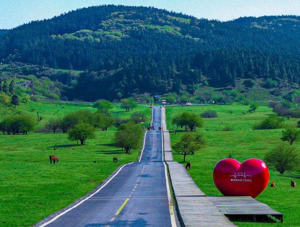 仙女山。武隆區委宣傳部供圖