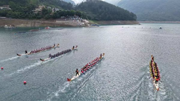 龍舟爭渡。代君君攝