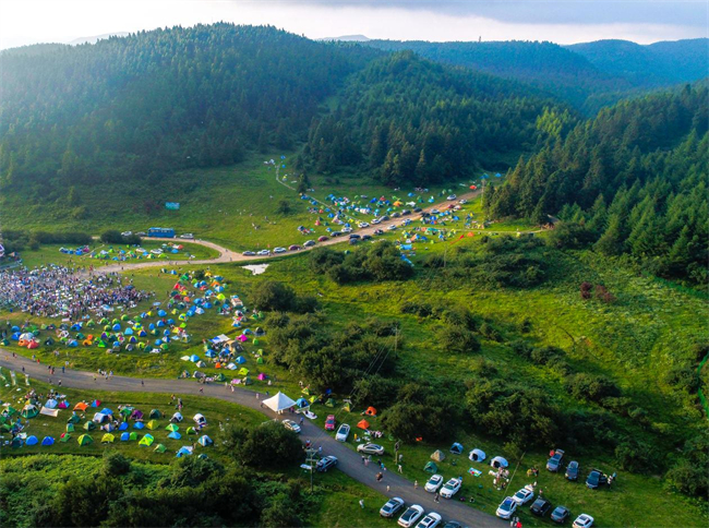 仙女山大草原露營。武隆喀斯特旅游公司供圖