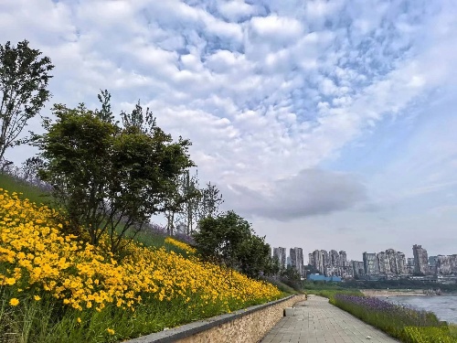 "藝岸漫行"都市水岸。重慶設計集團有限公司市政設計研究院供圖。