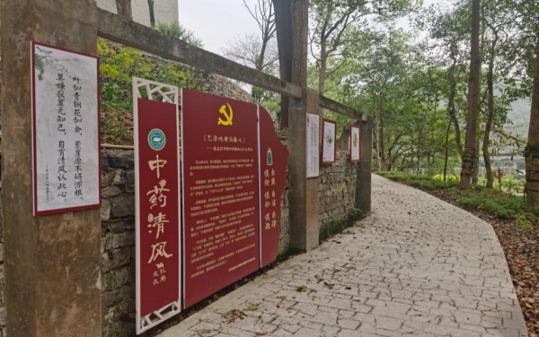 研究所中藥清風長廊一角。重慶市藥物種植研究所供圖