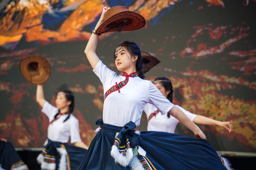 民族舞蹈。主辦方供圖