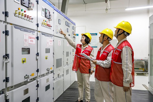 電力人員對配電設備進行安全檢查。國網重慶永川供電公司供圖