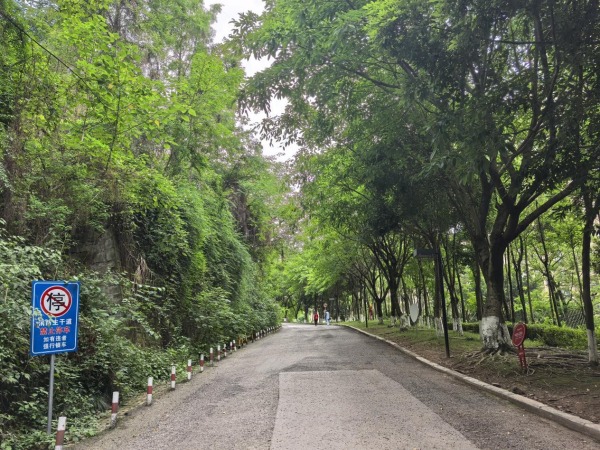 道路整治后不見違停車輛身影。段紅玲攝