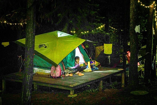林間露營的小孩打量森林的夜晚。主辦方供圖