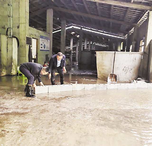 6月18日，豐都縣太平壩鄉，鄉干部帶隊排險1個多小時，保住村民家87頭肉牛。（豐都縣應急管理局供圖）