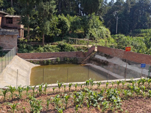 整治后的豬市場堰塘。陳海鷹攝