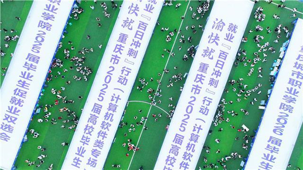 雙選會現場。主辦方供圖