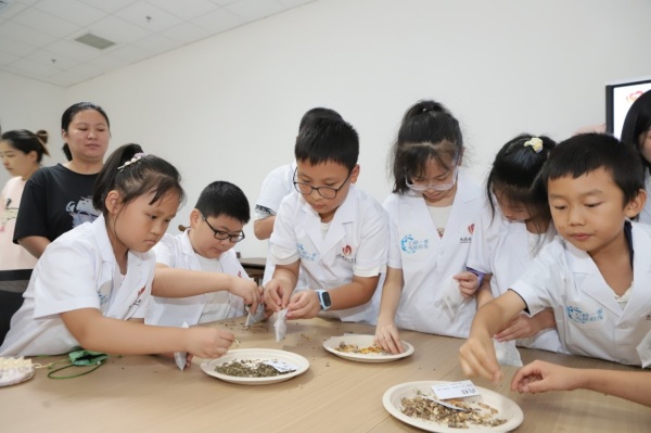 萌娃動手制作“中藥驅蚊香包”。趙海攝