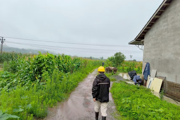 國網合川供電公司員工在暴雨后巡視10千伏古化線2號桿至45號桿。翁航攝