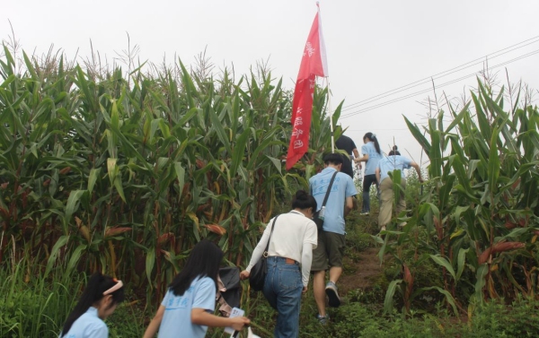 促進團前往春安村采摘園。唐鈺涵攝