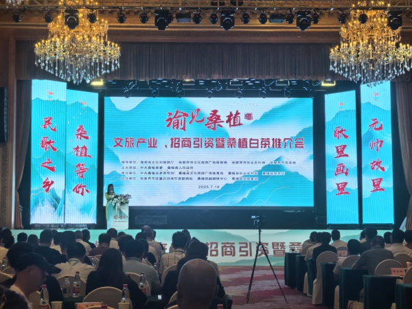 活動現場。桑植縣委宣傳部供圖