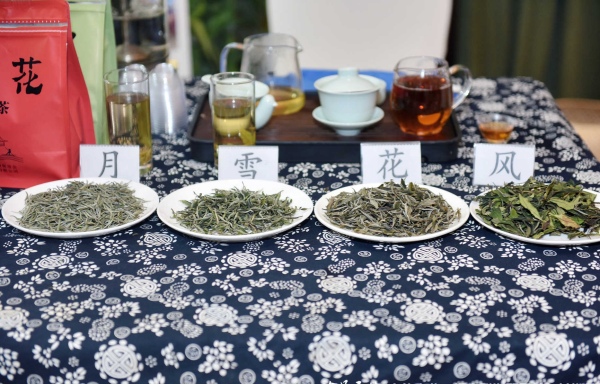 桑植白茶現場推介。桑植縣委宣傳部供圖