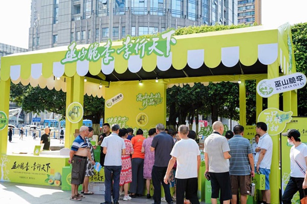 推介會現場。主辦方供圖