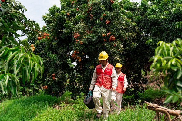 電力員工對用電設施進行“體檢”。國網重慶永川供電公司供圖