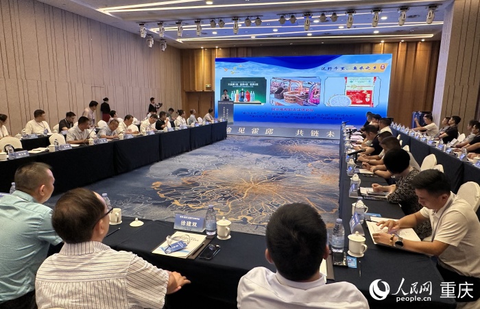 霍邱縣副縣長毛玲霞為在場企業家作宣傳推介。人民網記者 劉政寧攝