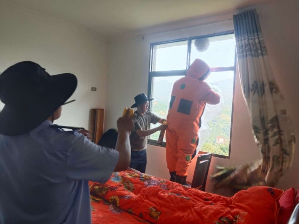 雙龍鎮綜合應急隊員上門取馬蜂窩。雙龍鎮供圖