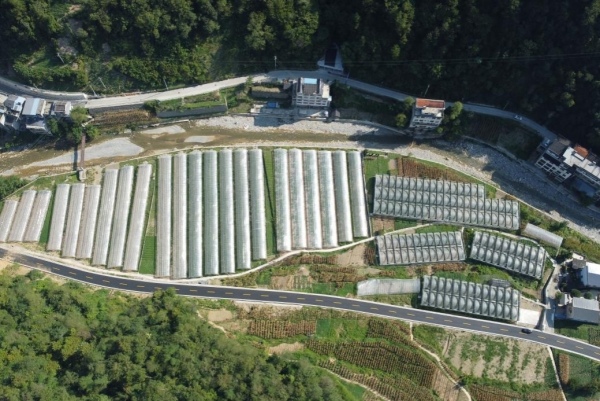 咸宜村蔬菜基地航拍。咸宜鎮供圖