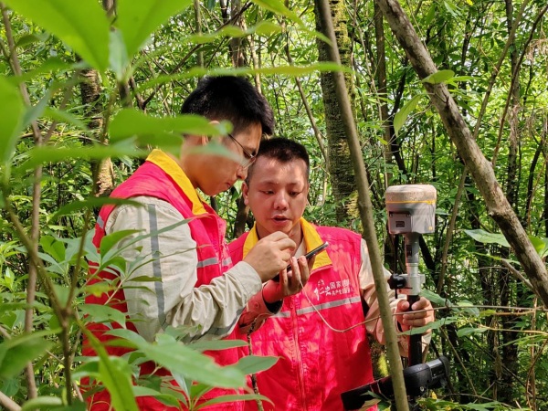 國網重慶經研院設計中心員工正在成渝中線高鐵牽引站供電線路勘測現場討論塔基定位。程婧雪攝