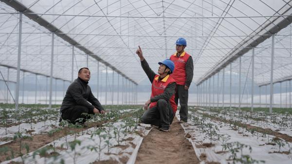 廖仁昌在中壩島蔬菜大棚與村民交流用電需求。楊李亮攝