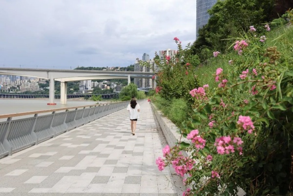 “兩江四岸”治理提升嘉濱路化龍橋段項目。重慶設計集團有限公司市政設計研究院供圖